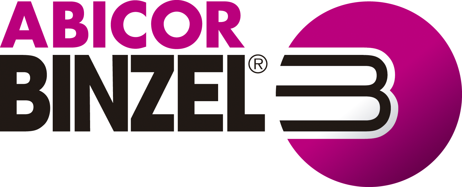 ABICOR BINZEL color 3-.png