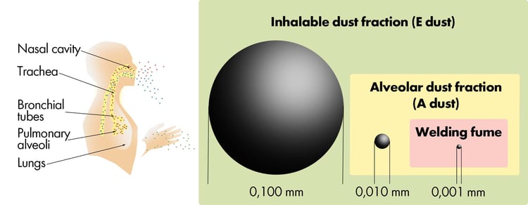 Inhalable and alveolar dust fraction